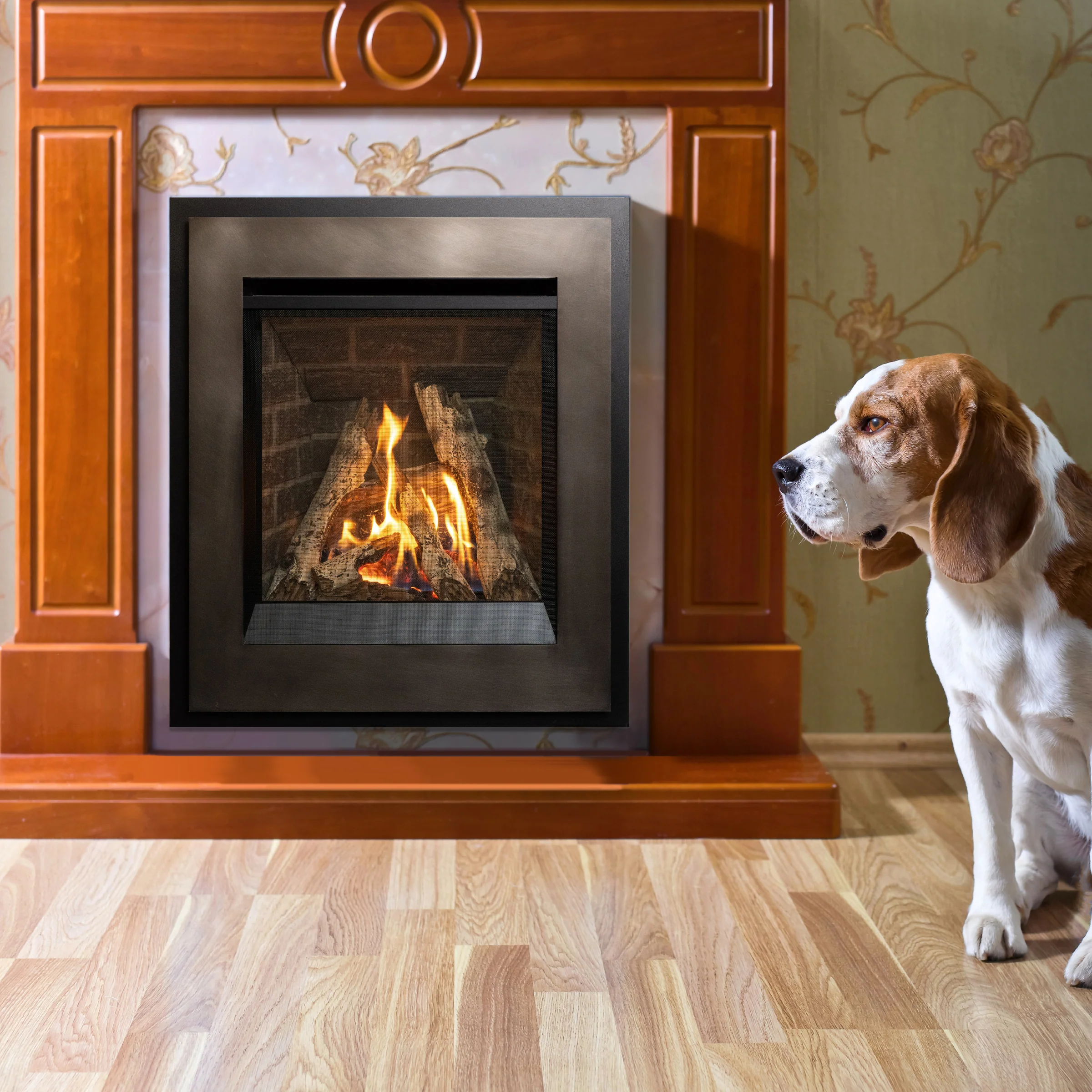 200A P2 Gas Fireplace - Image 4
