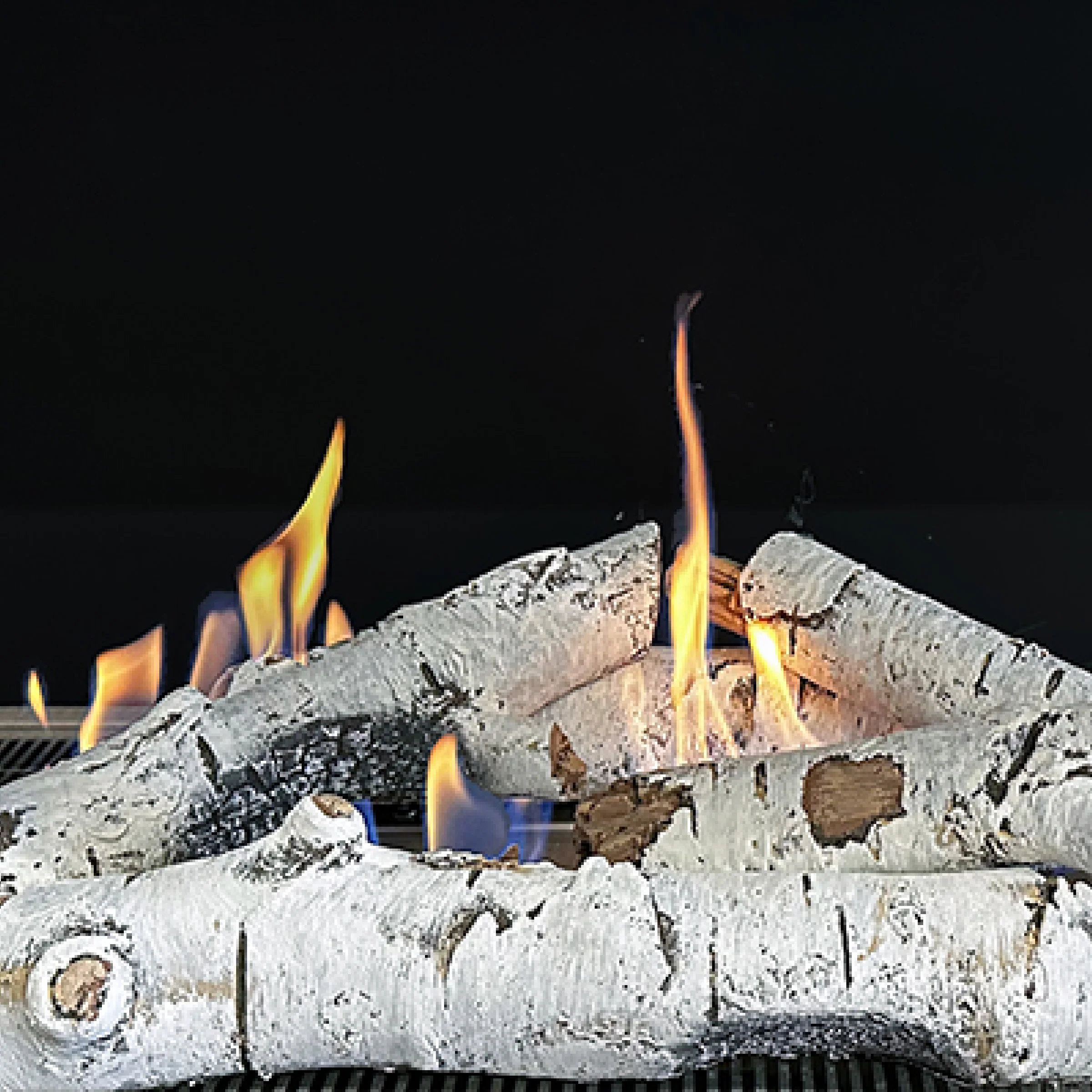 Birchwood Log Set