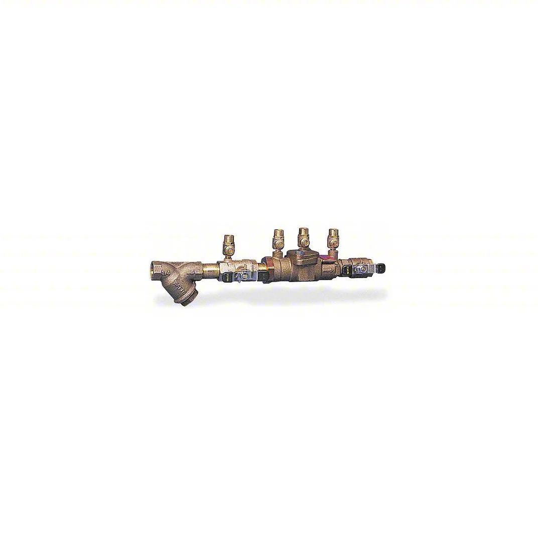 Double Check Assy   1" FP
