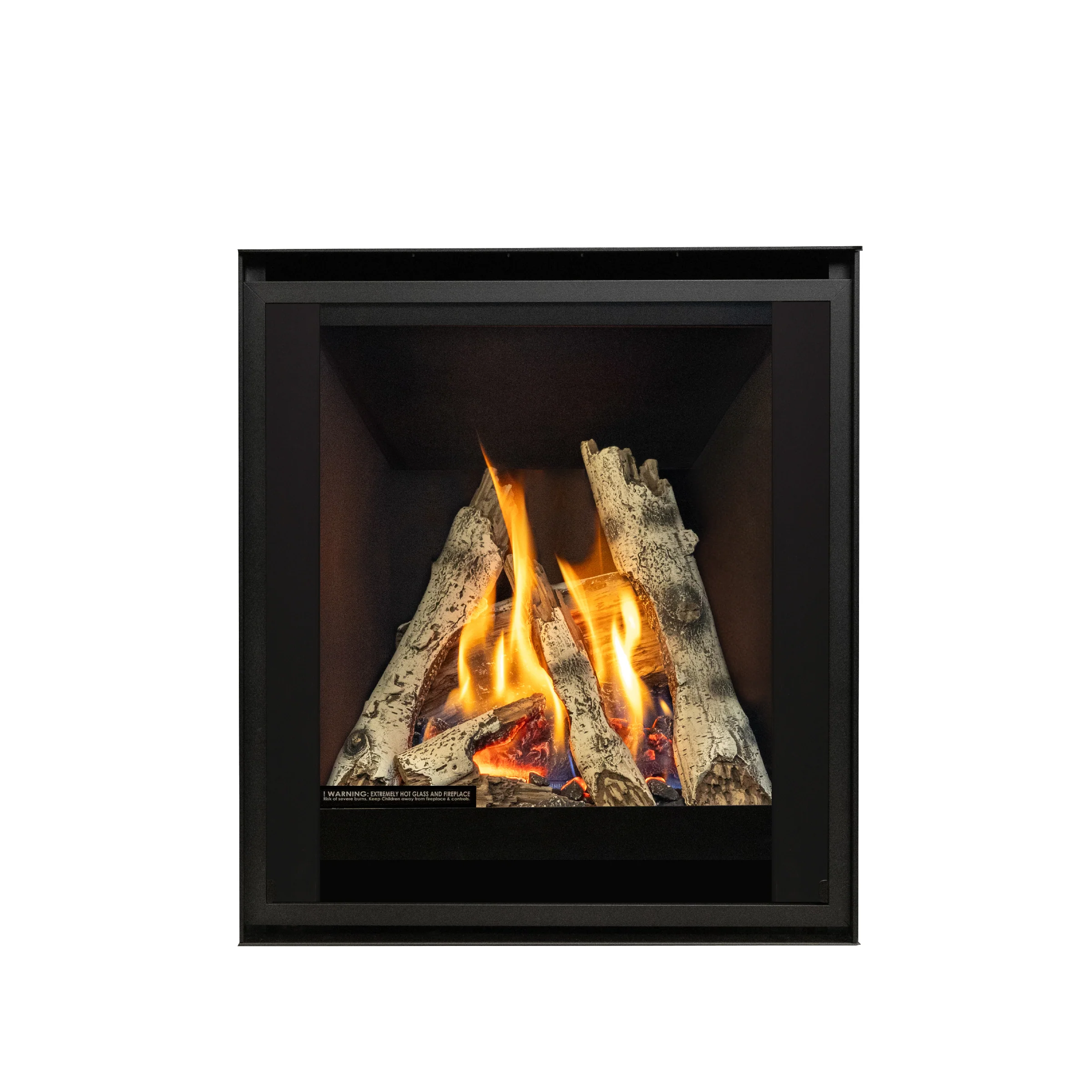 Front Options for Valor 200A P2 Gas Fireplace - Image 6