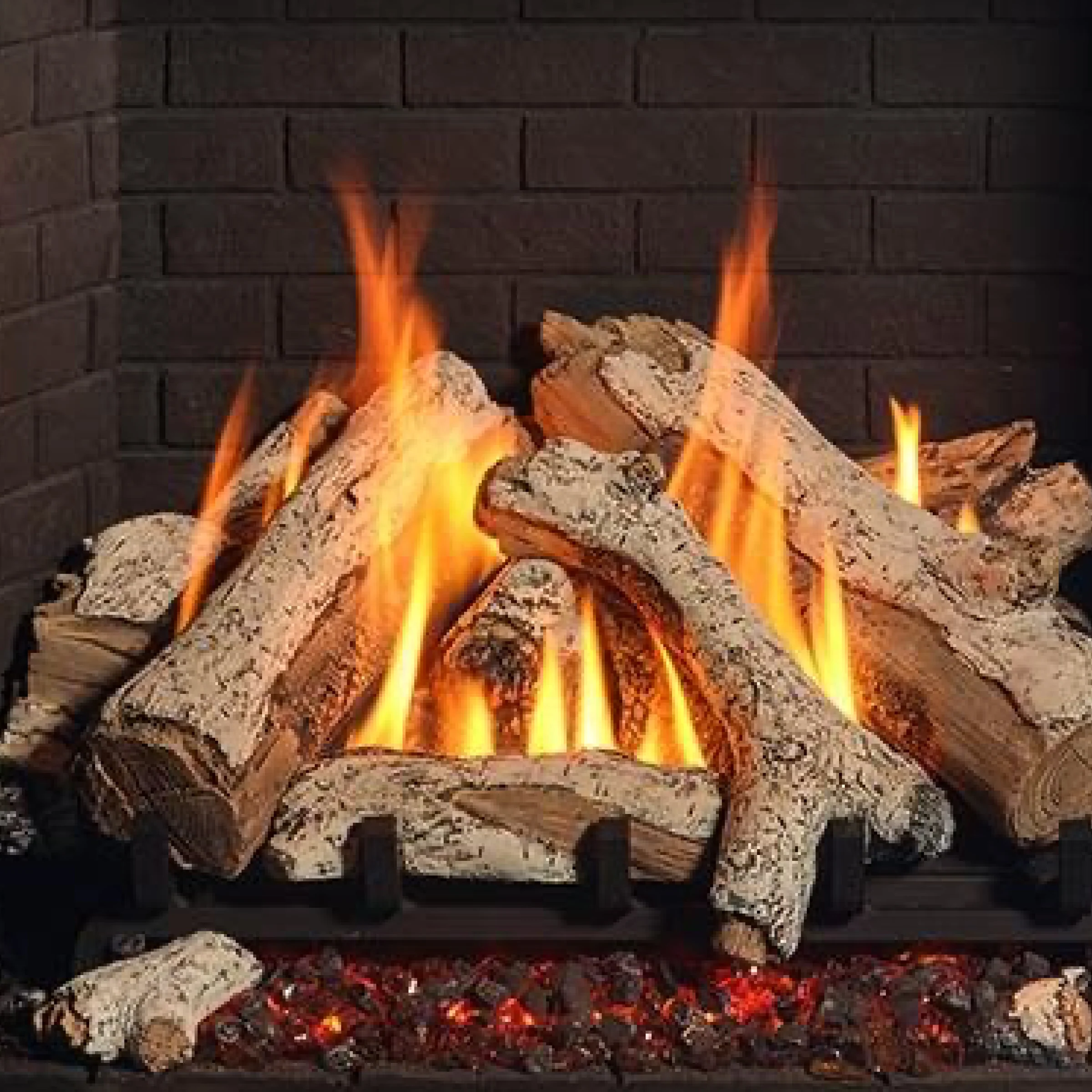 G800P Birch Log Set