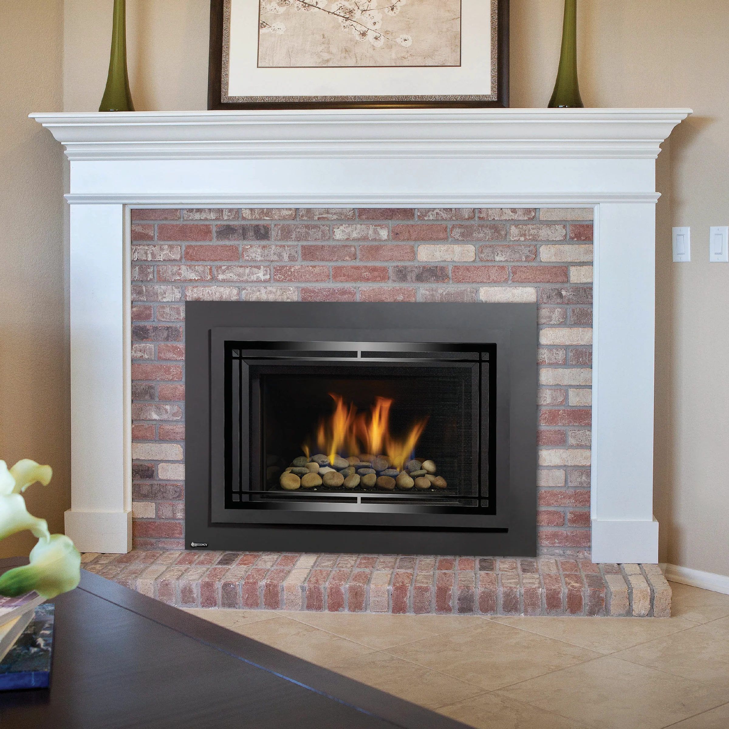 Horizon® Gas Inserts - Image 3
