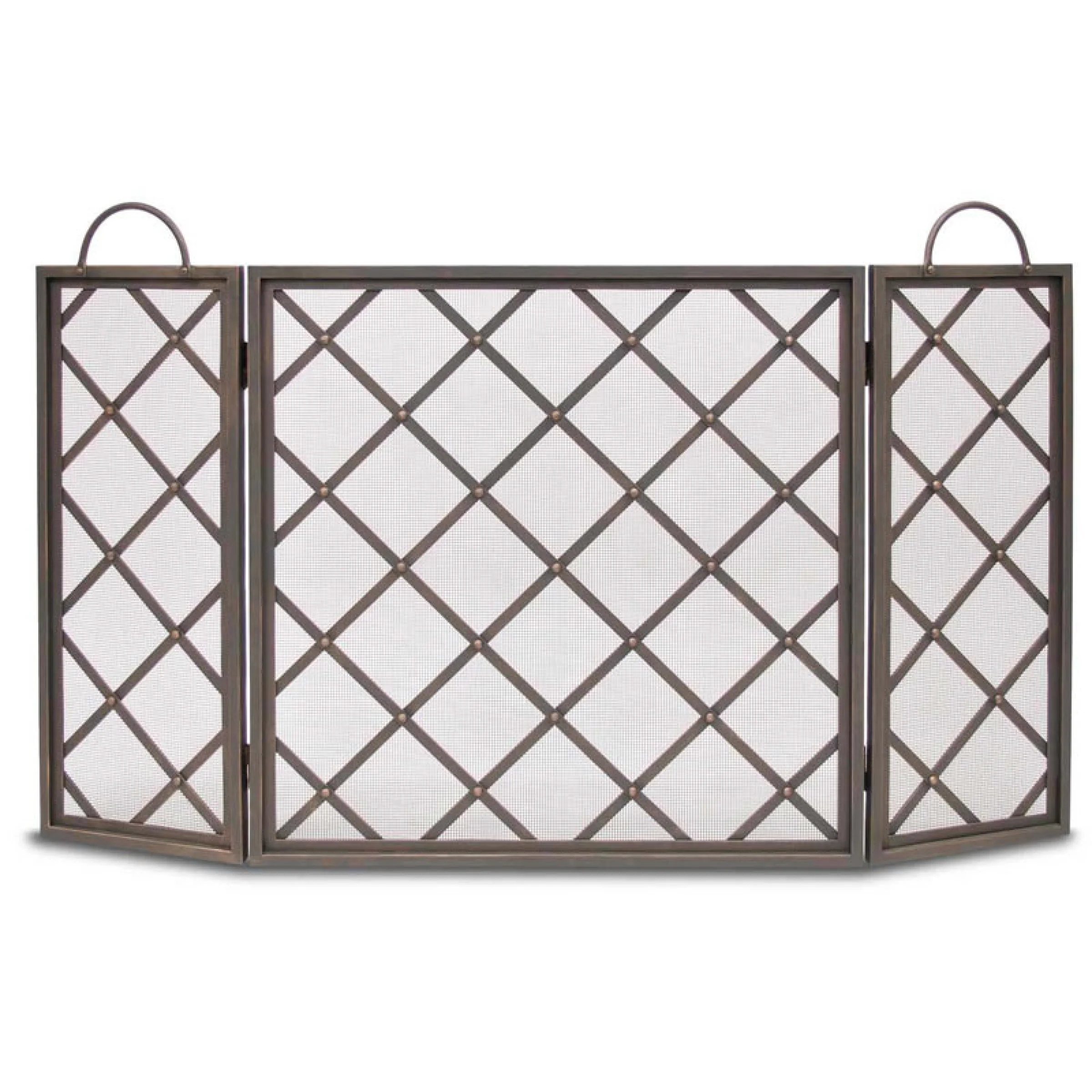 Iron Weave Door Screen