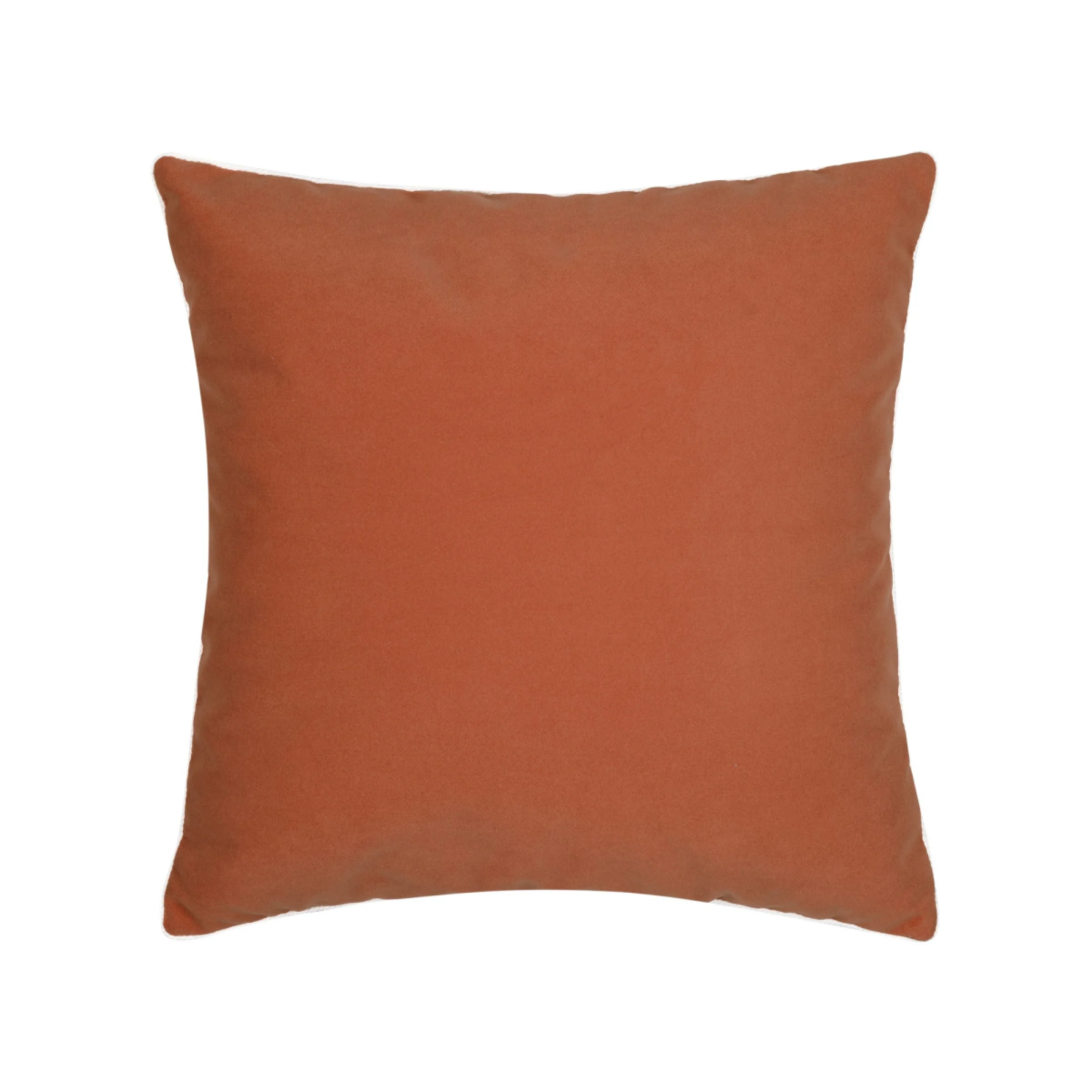 Lush Velvet Papaya/Tiffany Pillow
