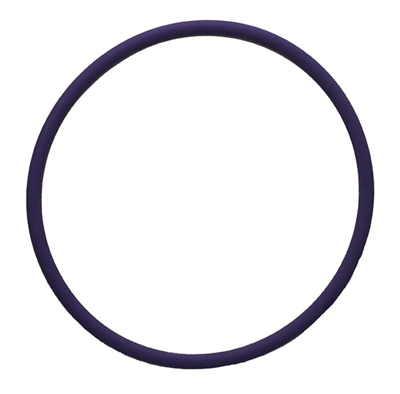 O-Ring DIG 3/4 Screen