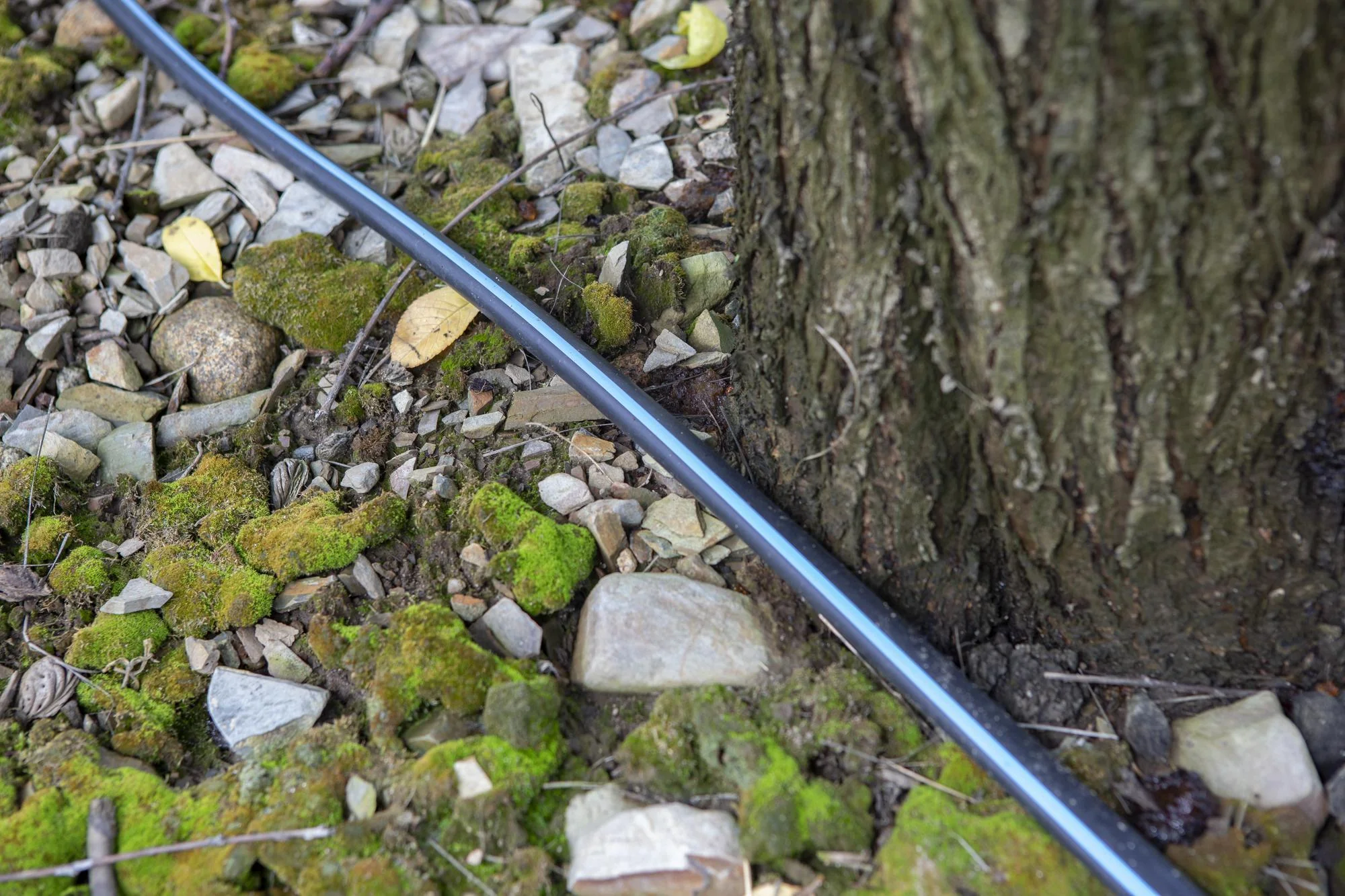 BLUE STRIPE HOSE 1/2" 15MM 100FT WRAP - Image 3