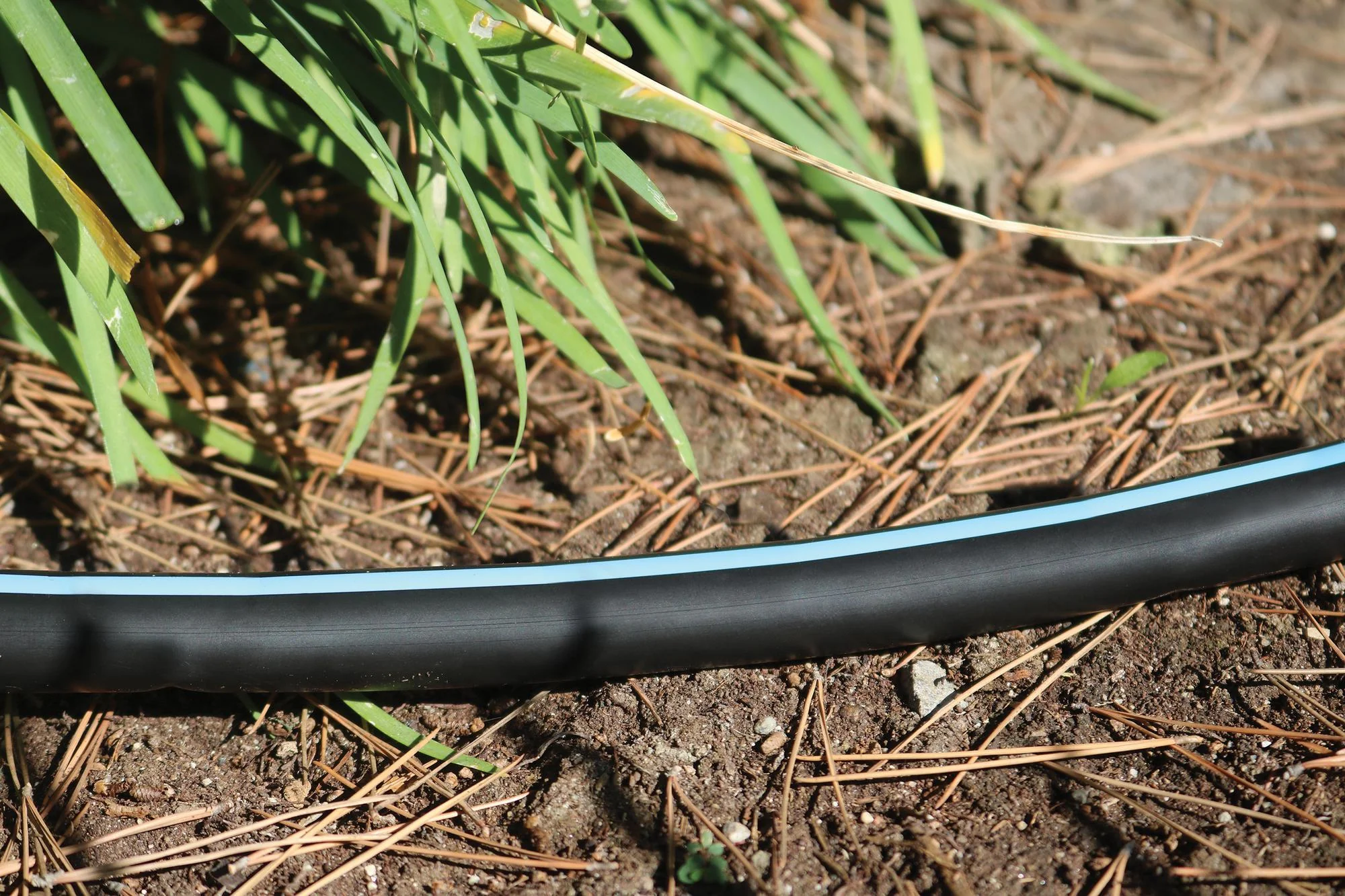 HOSE BLUESTRIPE 1" 26MM ID 67MIL 660FT - Image 2
